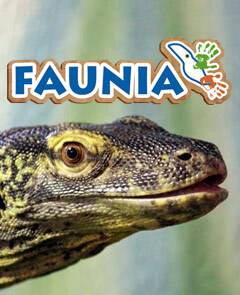Faunia - grupo mixto