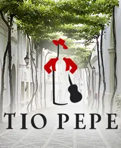 Visita Bodegas Tío Pepe en Jerez