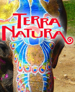 Entradas Terra Natura / Aqua Natura Benidorm