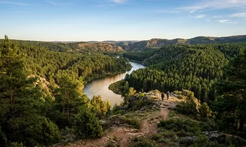 Duero y pinares en Soria